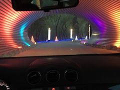 -枫花园汽车电影院(朝阳公园店)