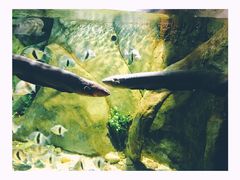 -福州罗源湾海洋世界旅游区