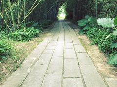 -开平碉楼文化旅游区马降龙景区