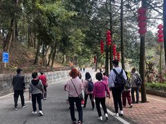 -广州市流溪河国家森林公园