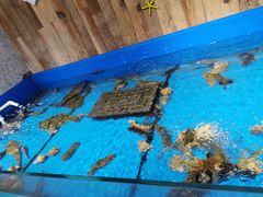 -澜小宴·锦绣江南(金沙滩店)