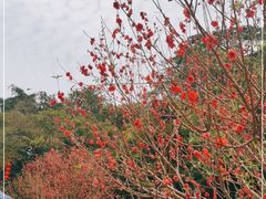 -白水带风景区体育公园