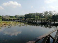 -溱湖国家湿地公园