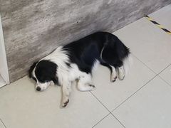 -南京大学-第9食堂