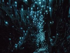 -怀托摩萤火虫洞