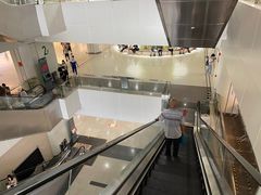 -南方医科大学深圳医院