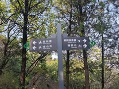 -阳台山自然风景区