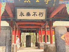 -大槐树寻根祭祖园