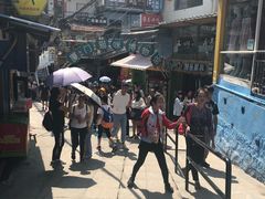 -猫咪博物馆(顶澳仔猫街店)