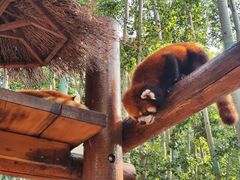 -北京野生动物园