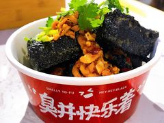 -黑色经典臭豆腐·湖南特产(坡子街店)