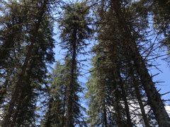 -硗碛藏寨·神木垒景区