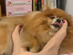 -星巴克(上海南站店)