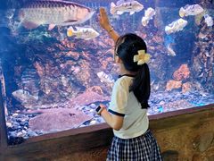 -华夏文旅海洋公园