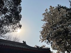 -北京艺术博物馆(万寿寺)