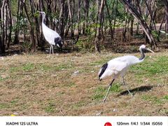 -沈阳森林动物园