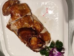 -凯鸽酒楼•雁北民间菜(华北星店)