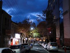 -九龙餐厅(大沽路店)