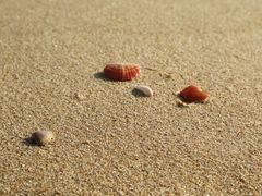 -海云台海滩