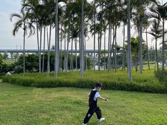 -宝安西湾红树林湿地公园