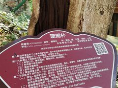 -宝通禅寺