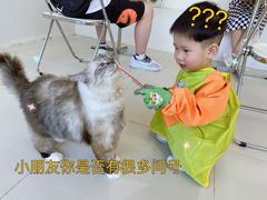 -怪兽屋·羊驼·猫咖·狗咖(俊华广场店)