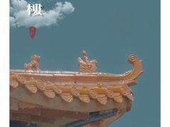 -日照海滨国家森林公园