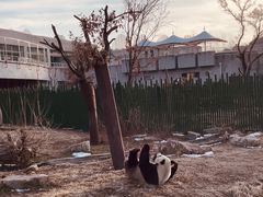 -沈阳森林动物园