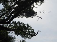 -杭州植物园