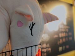 -志龙皇冠吃货椰子铺