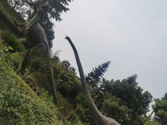 -自贡恐龙博物馆