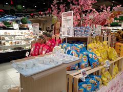 -盒马鲜生(红莲店)