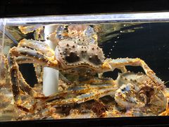 -鱼乐轩海鲜专门店