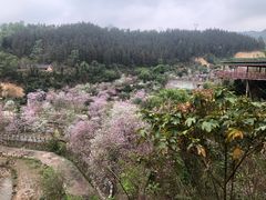 -龙门水都景区
