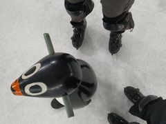 -正佳冰河湾真冰滑冰场
