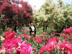 -西安汉城湖景区