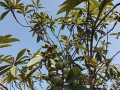 -中国移动南方基地