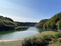 -黄椅山火山森林公园