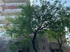 -原山国家森林公园