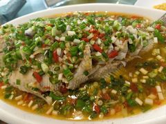 -飞虹鱼馆(春华路店)