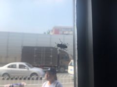 -大福来(西青道店)