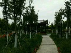 -天津东丽湖风景区