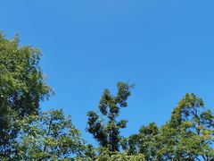 -终南山南五台景区