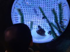 -沈阳海洋探索中心