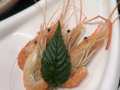 -黑松白鹿(金融街店)