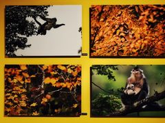 -中国湿地博物馆