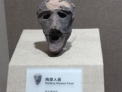 -烟台市博物馆