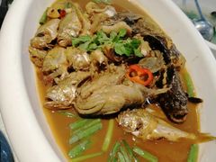 杂拌鱼-品味居·首店·大连鲜活海鲜大连菜(东港店)