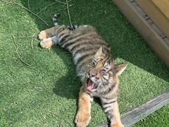 -哈尔滨北方森林动物园