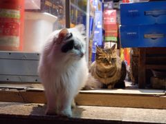 -正宁路小吃夜市